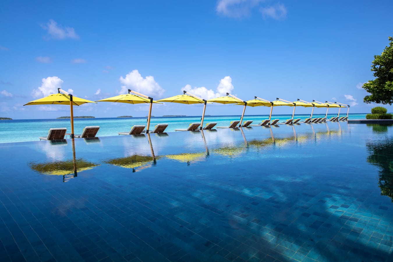 Manzaru pool