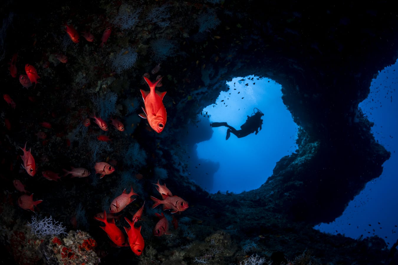 CaveOverhangs