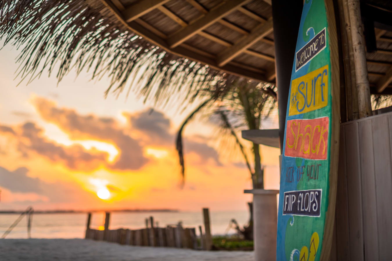 Surf Shack Restaurant 