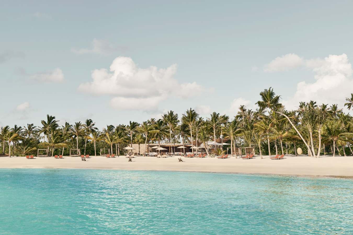 PATINAMALDIVESBIRD-ISLAND