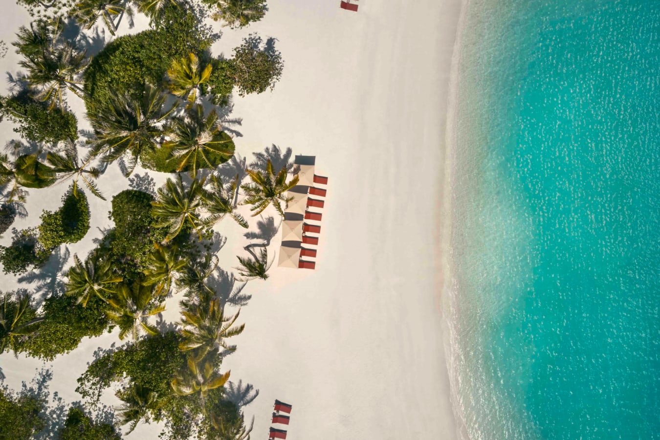 FARI-STUDIOSBEACHAERIA