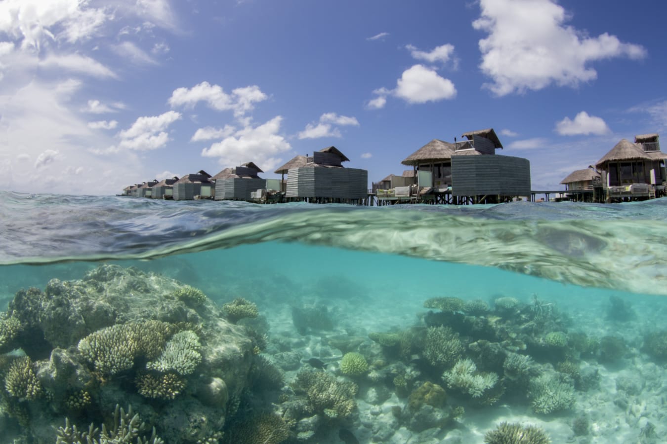 water villa and reef 