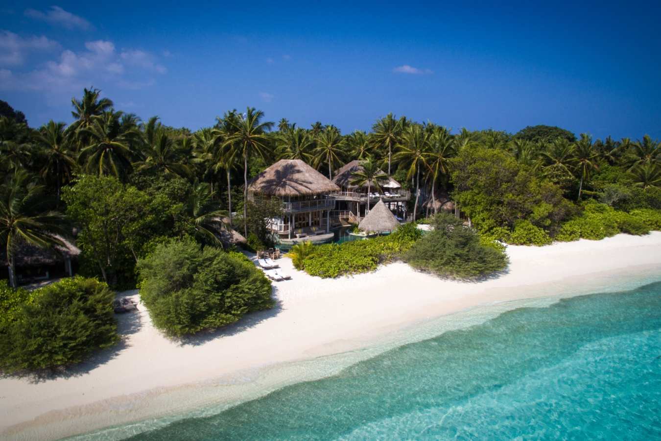 Jungle Reserve