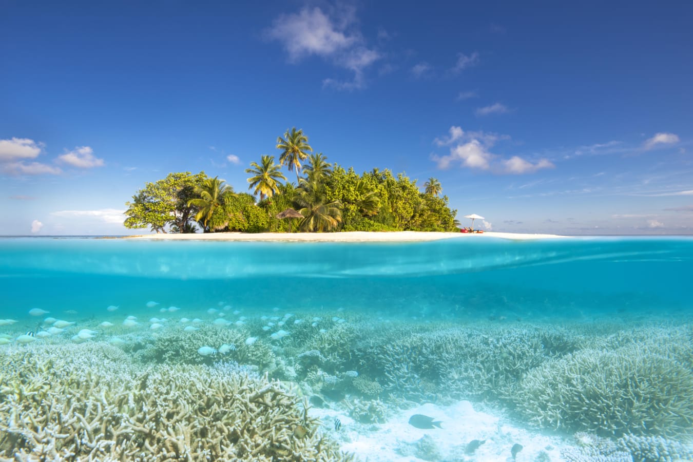 Gaathafushi - Ws Private Island