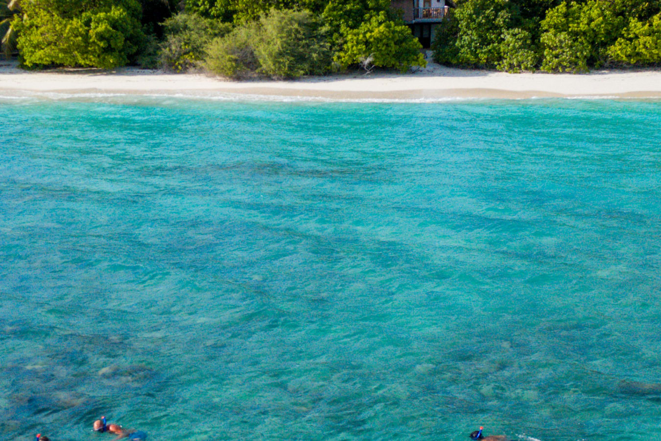 Soneva Fushi- Snorkelling