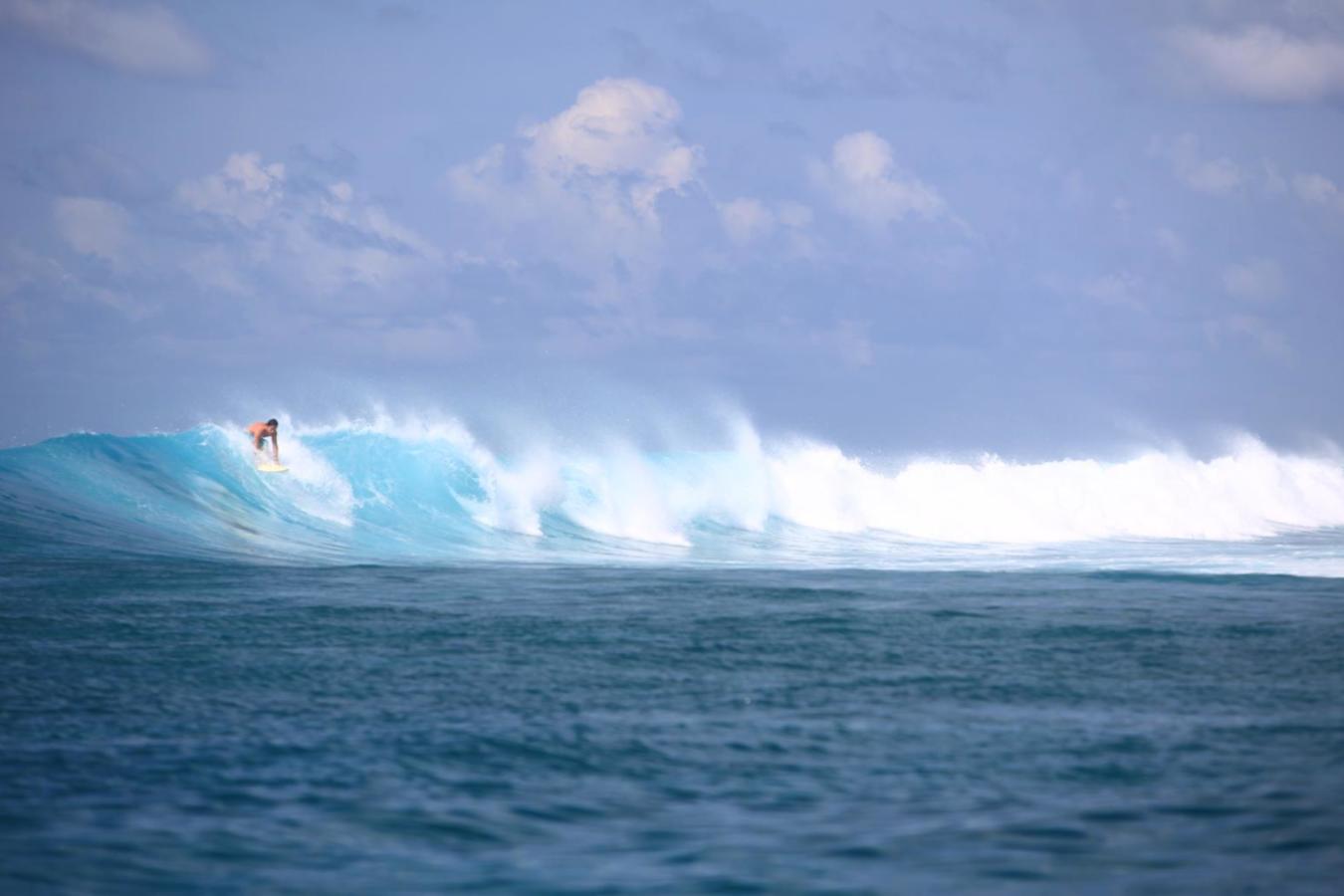 Surfing