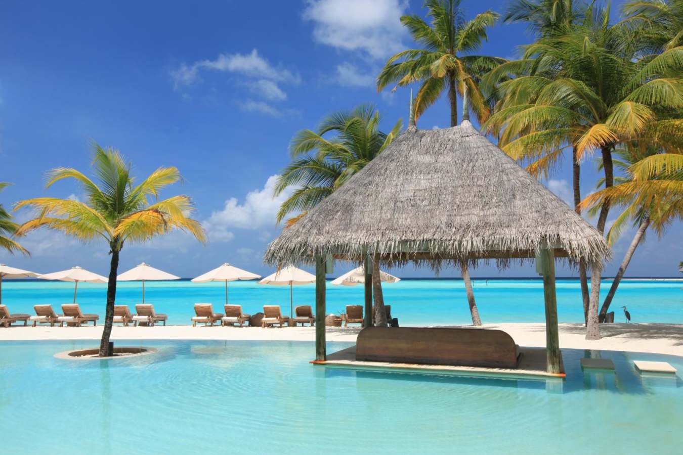 Loungers - Gili Langkanfushi