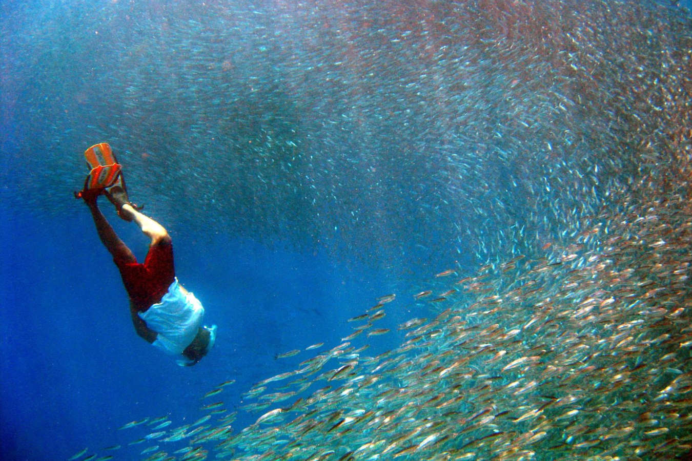 Snorkelling
