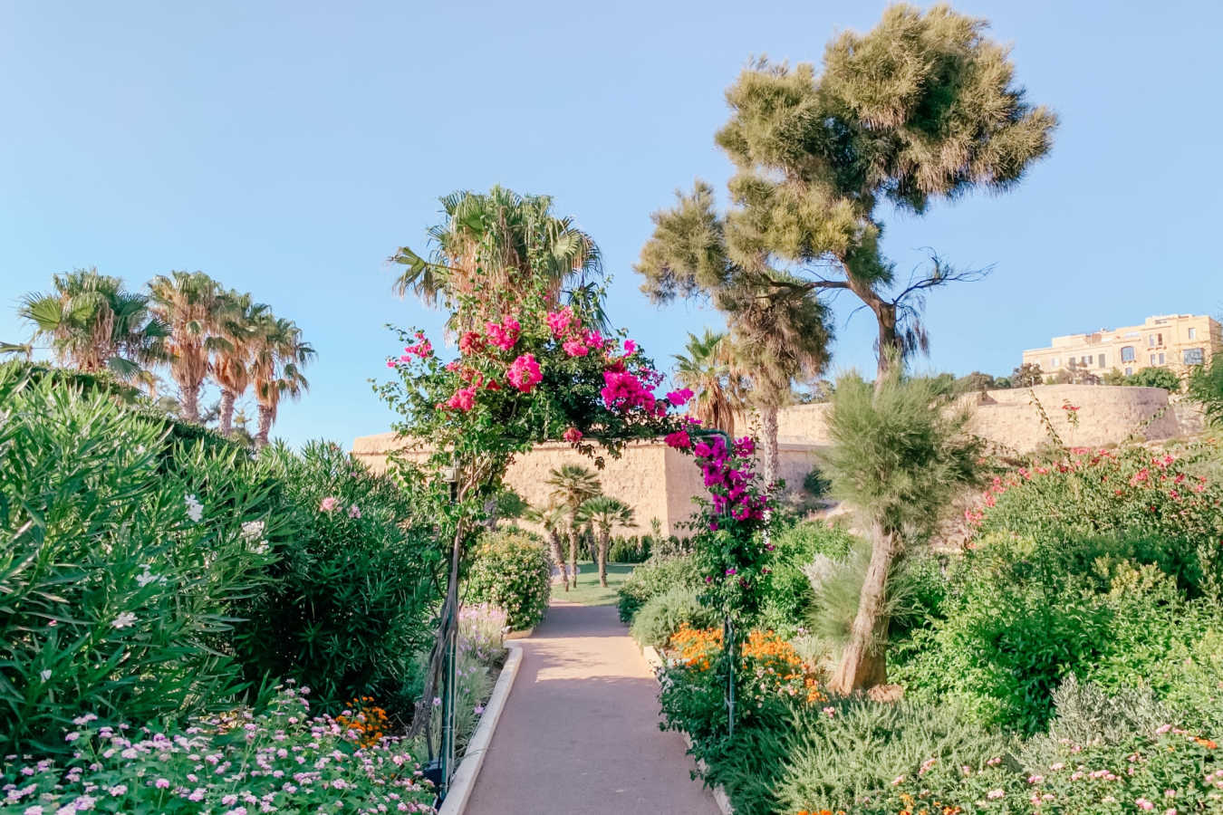 Garden