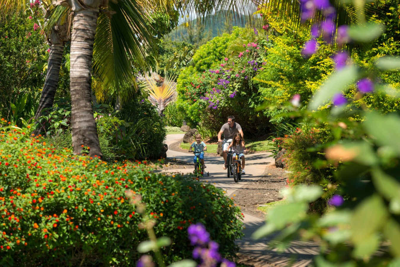 Gardens -Four Seasons Resort Mauritius at Anahita