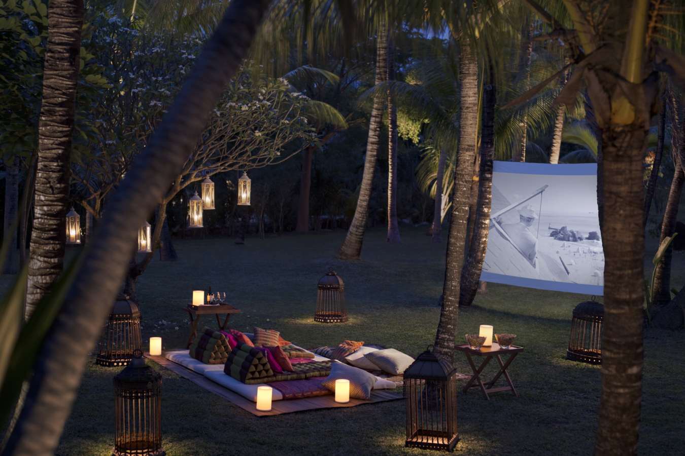 Dine By Design Outdoor Cinema