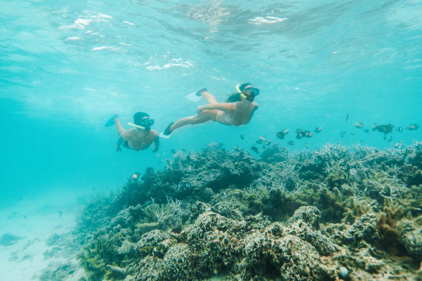 Snorkelling