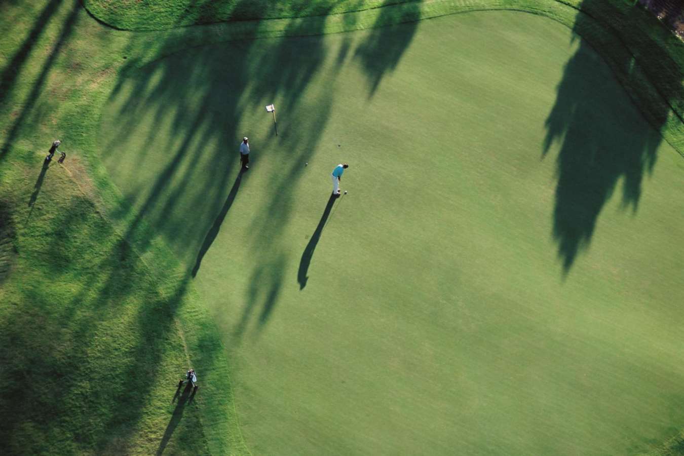 On the green  - Golf in Mauritius