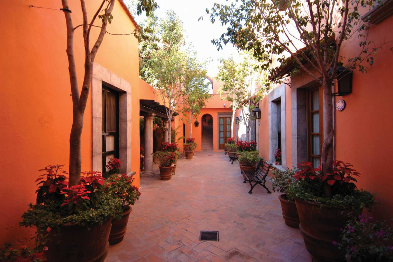 Patio - Casa de Sierra Nevada