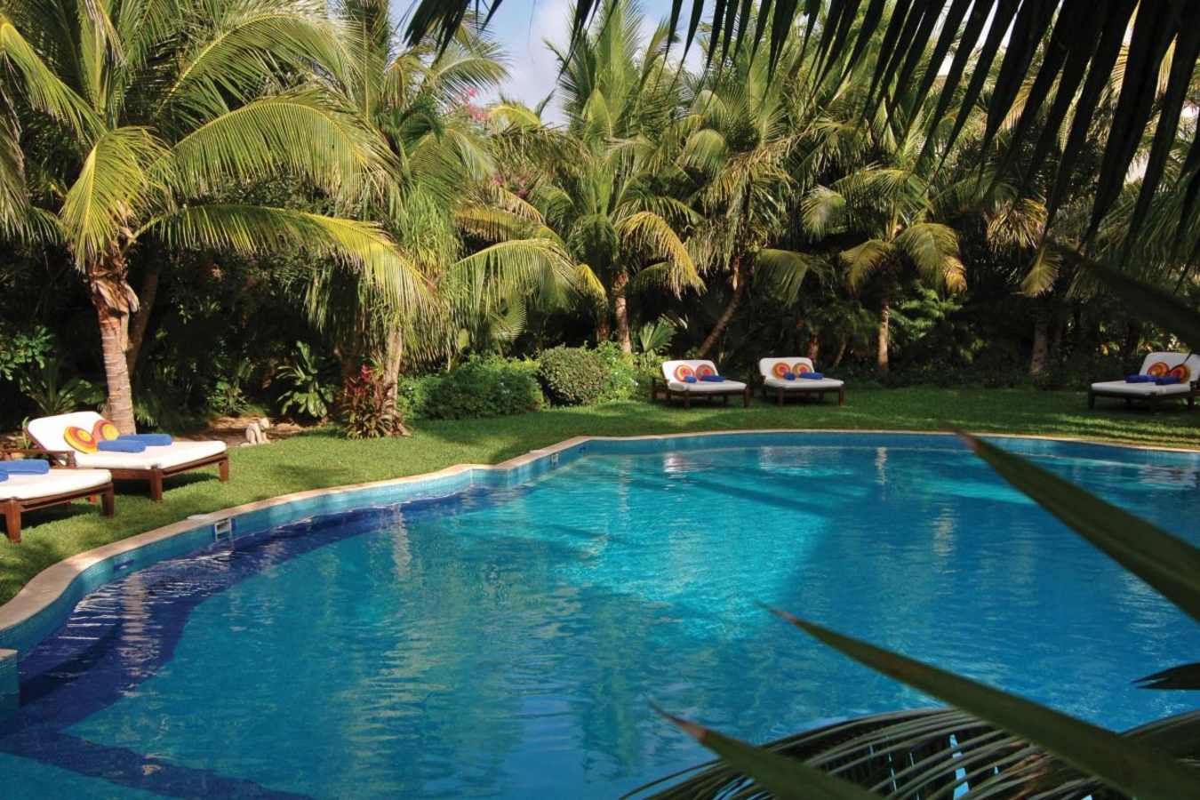 Swimming Pool  - Maroma Resort and Spa