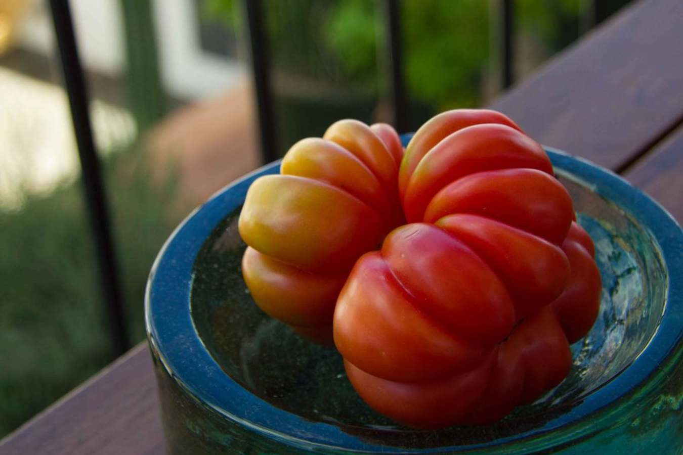The freshest of ingredients - Casa Oaxaca