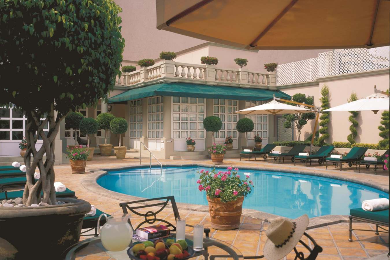 Pool - Four Seasons Mexico City