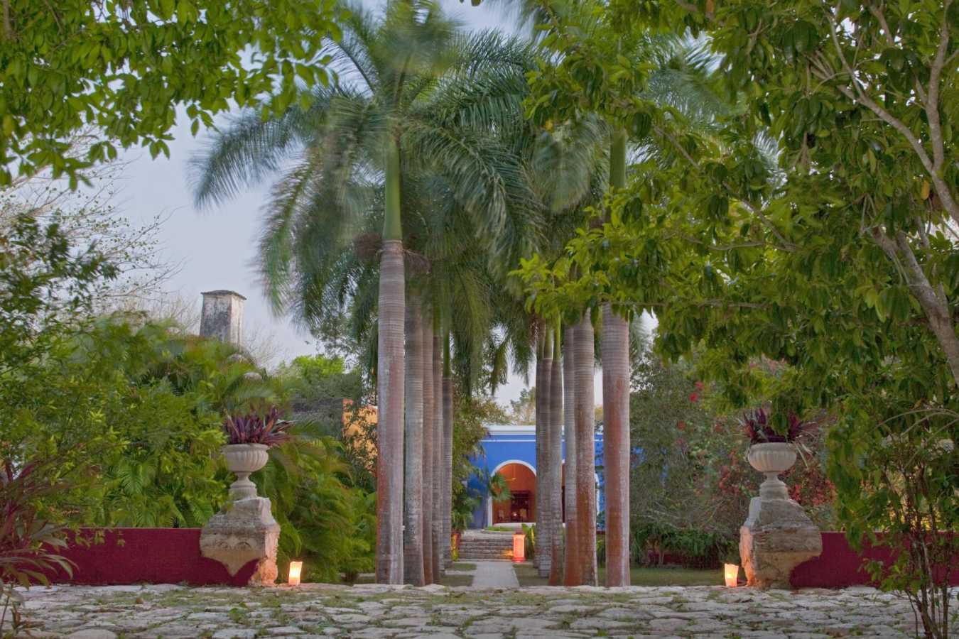 Garden - Hacienda San Jose