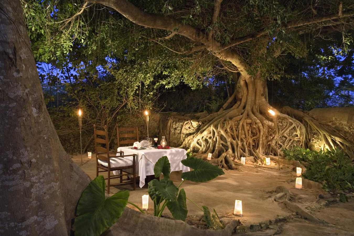 Romantic dinner - Hacienda San Jose