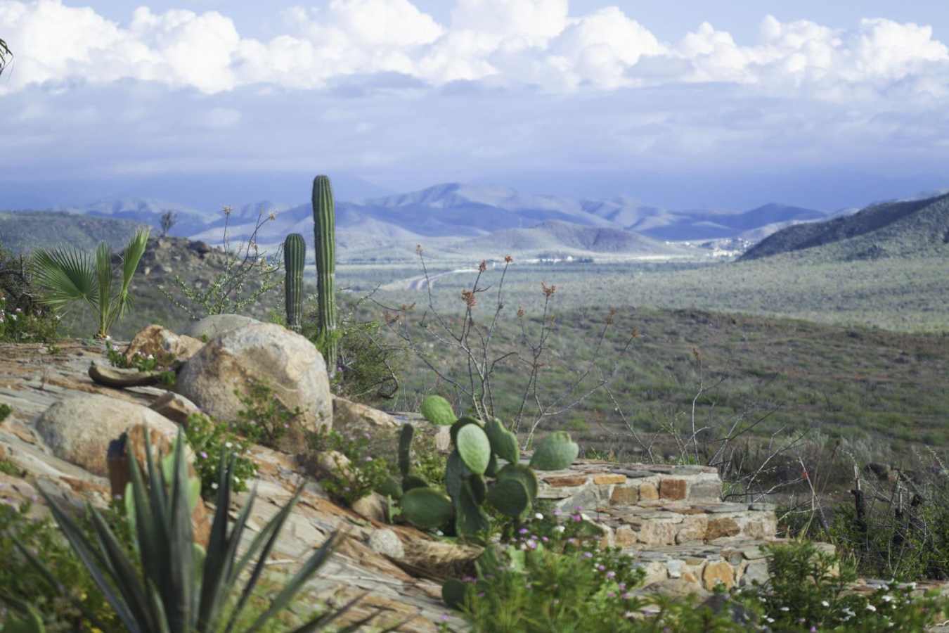 Landscape   - Hotel Guaycura
