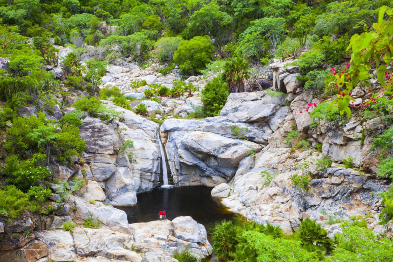 Explore the Laguna Mountains - Hotel Guaycura