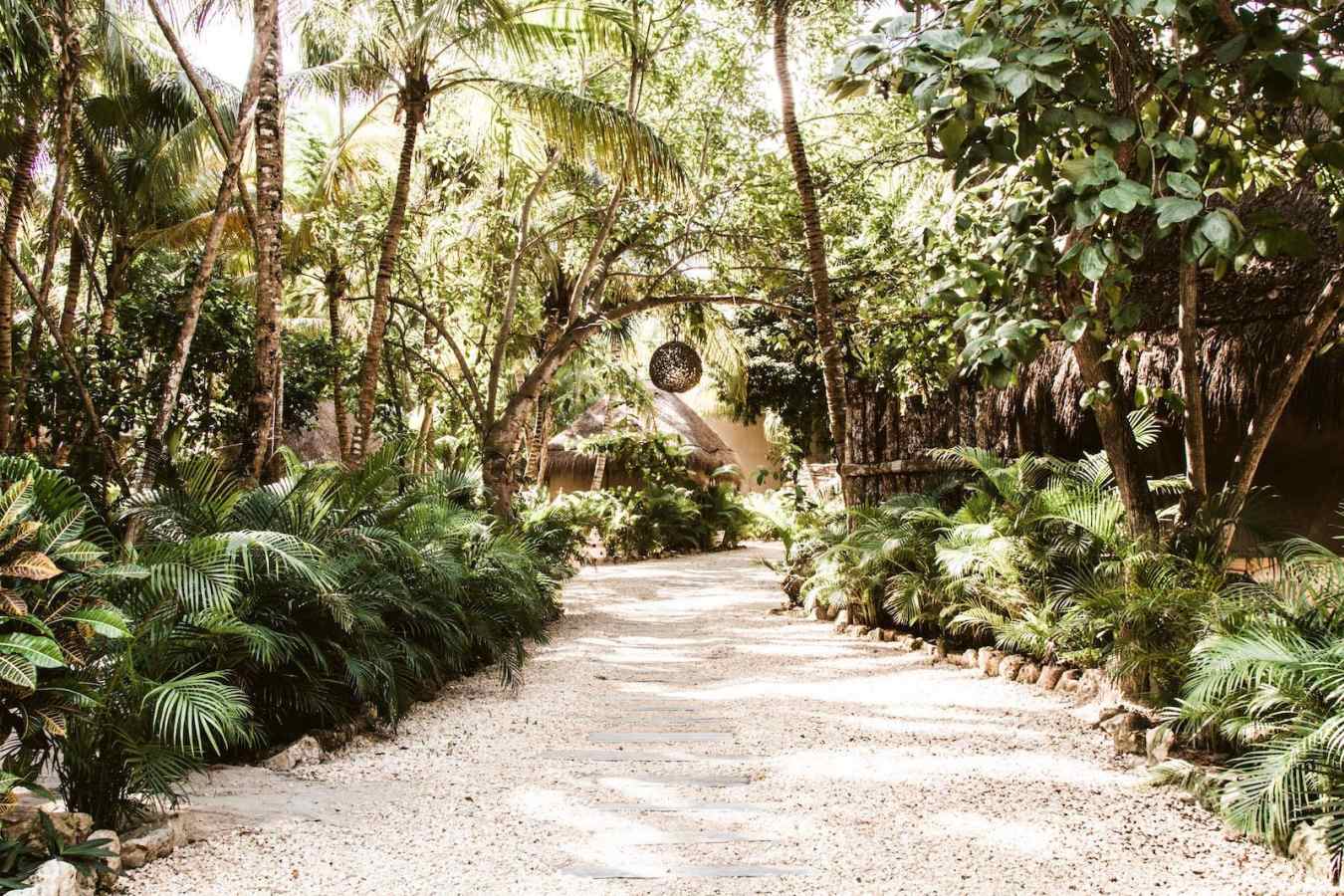 Walkway - Nomade Tulum