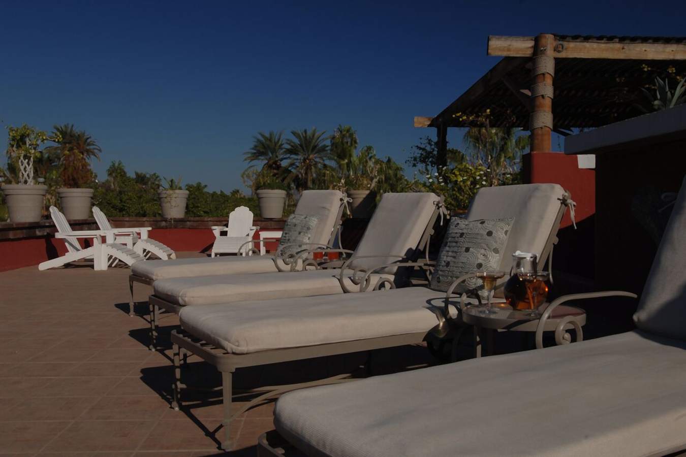 Sunloungers - Posada de las Flores Loreto