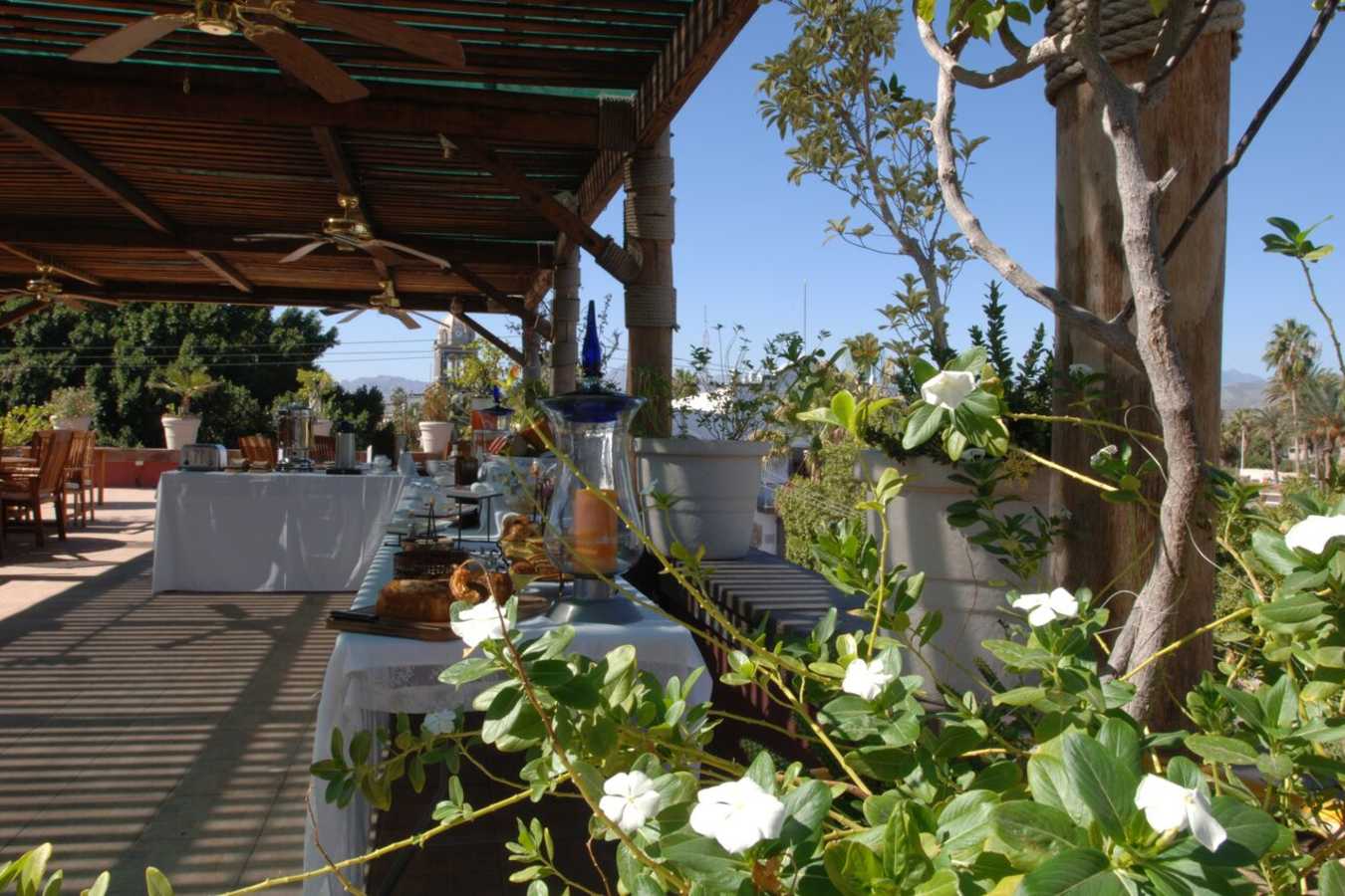 Breakfast Dining - Posada de las Flores Loreto