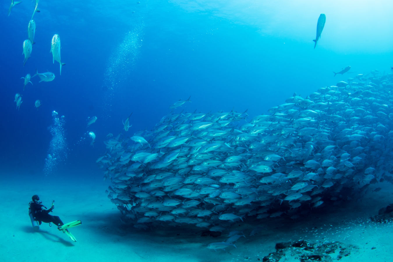 Epic Baja California