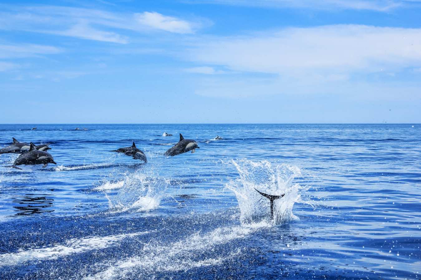 Epic Baja California