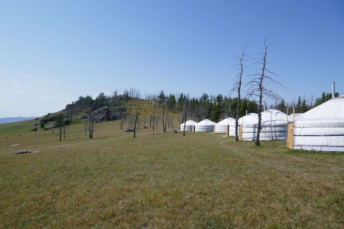 The Camp