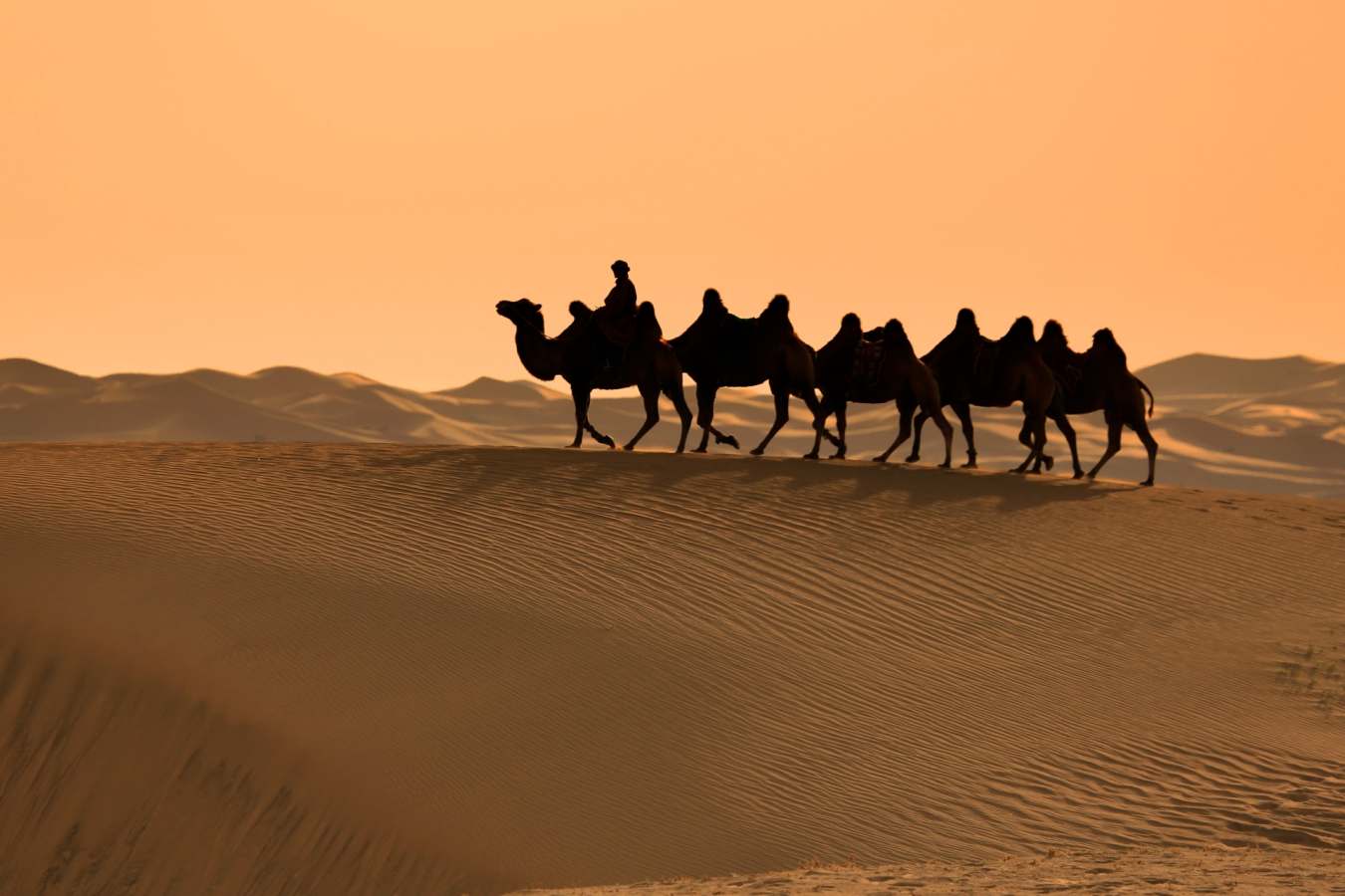 Gobi Desert