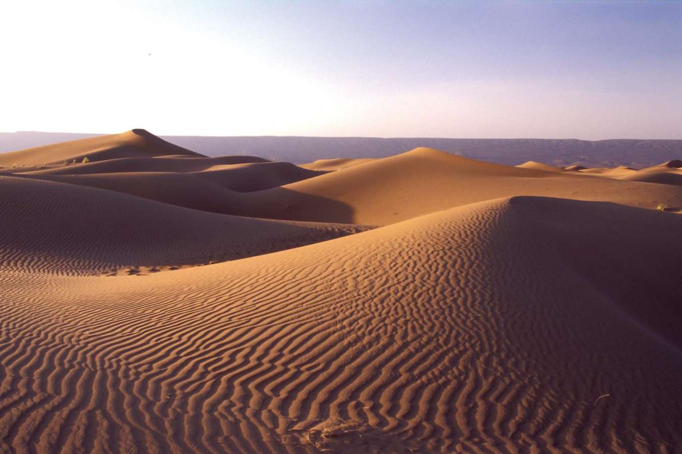 Sand Dunes - Dar Ahlam Nomad Camp