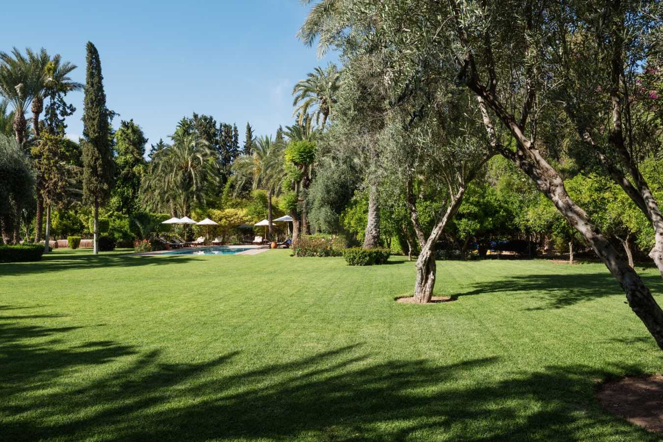 Gardens and lawn - Dar Zemora