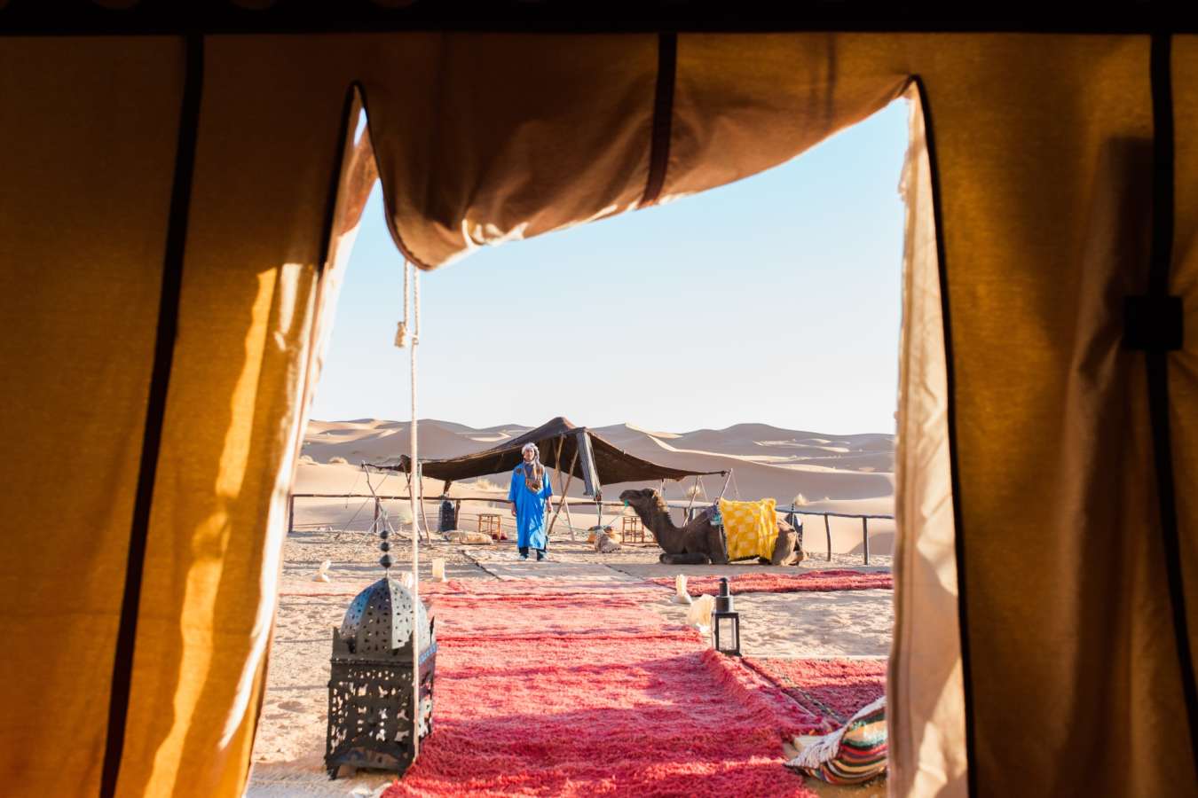 View from tent - Desert Luxury Camp