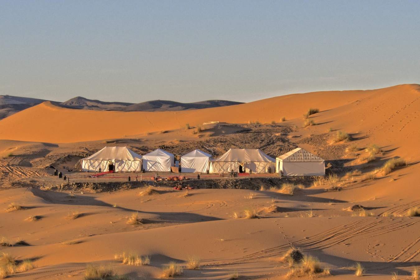 Camp - Desert Luxury Camp