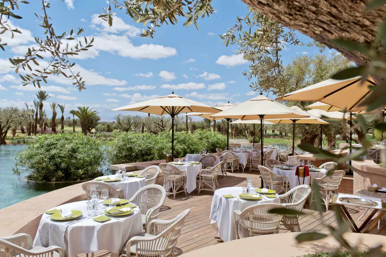L'Olivier restaurant - Royal Palm Marrakech