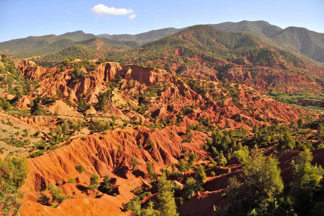 Mountains - Kasbah Bab Ourika