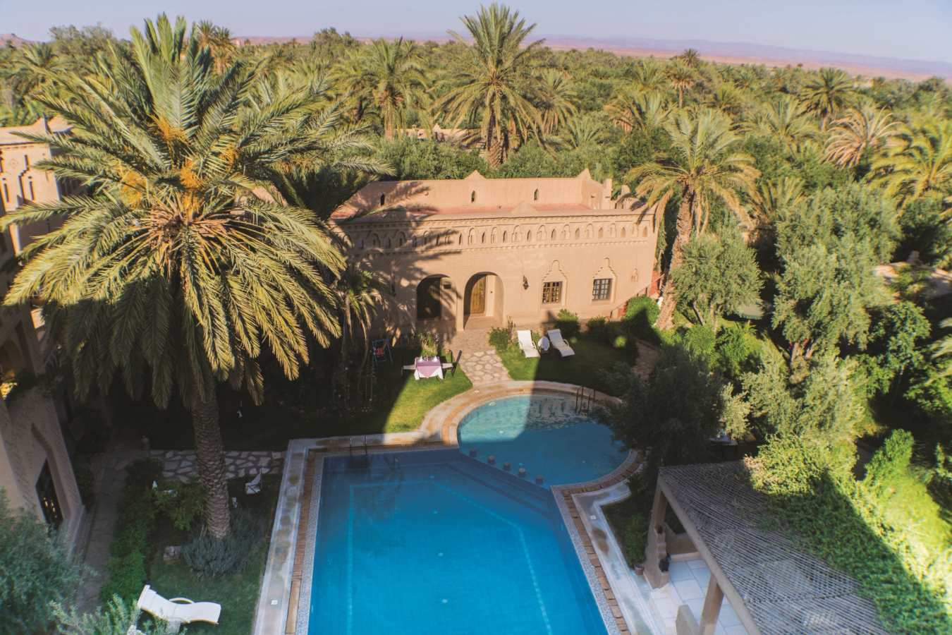 Swimming Pool and surrounding palm grove