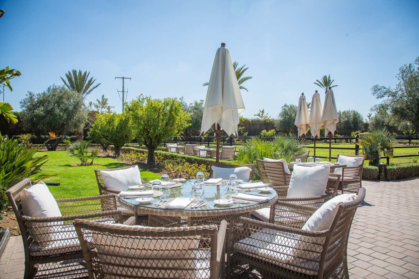 Terrace - Selman