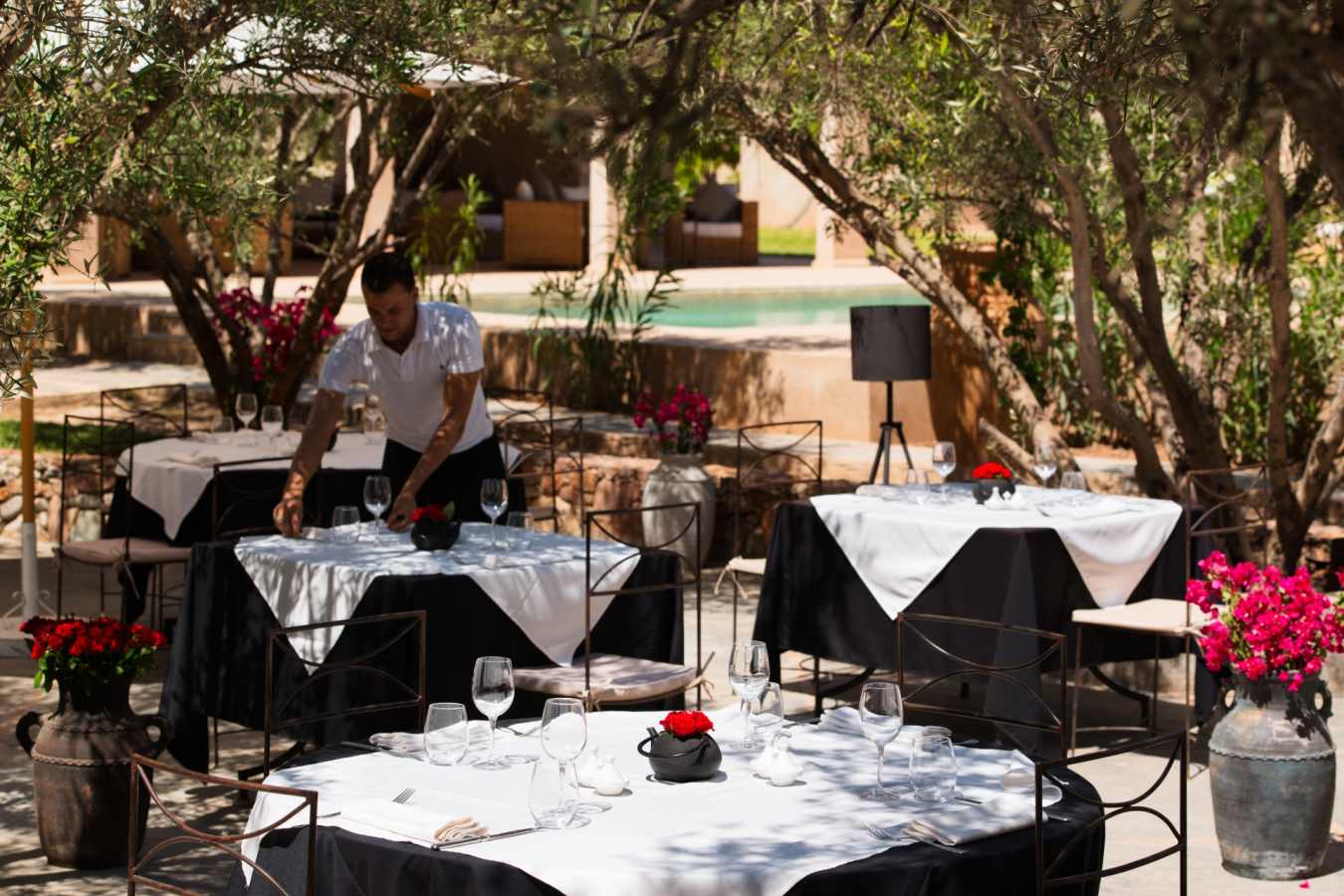 Olive Terrace - The Capaldi