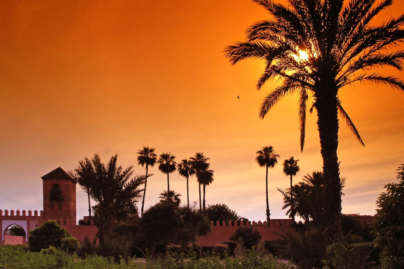 Marrakech sunset - Morocco Honeymoon