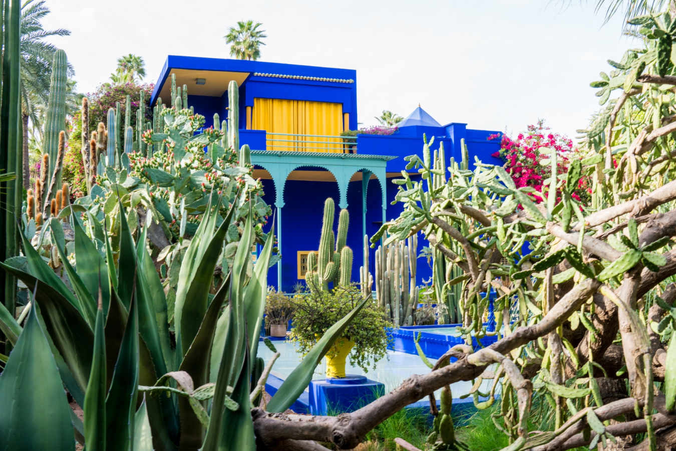 Majorelle Garden Justin Mauldin