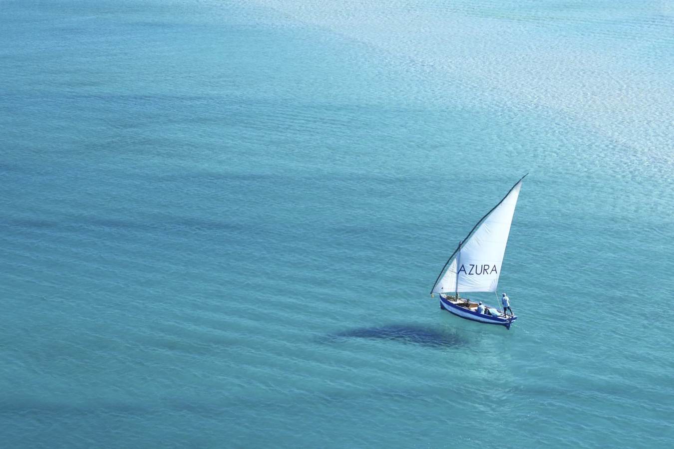 Dhow sailing