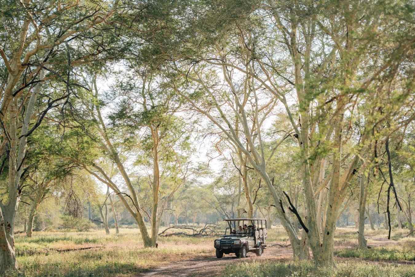 Game drive 