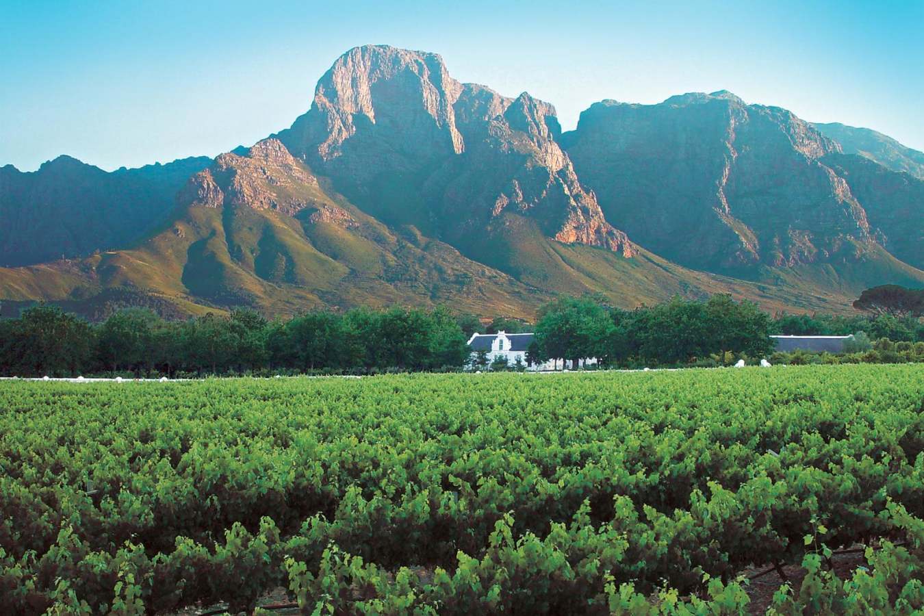 Winelands - Scott Dunn’s Flagship South Africa and Mozambique Experience