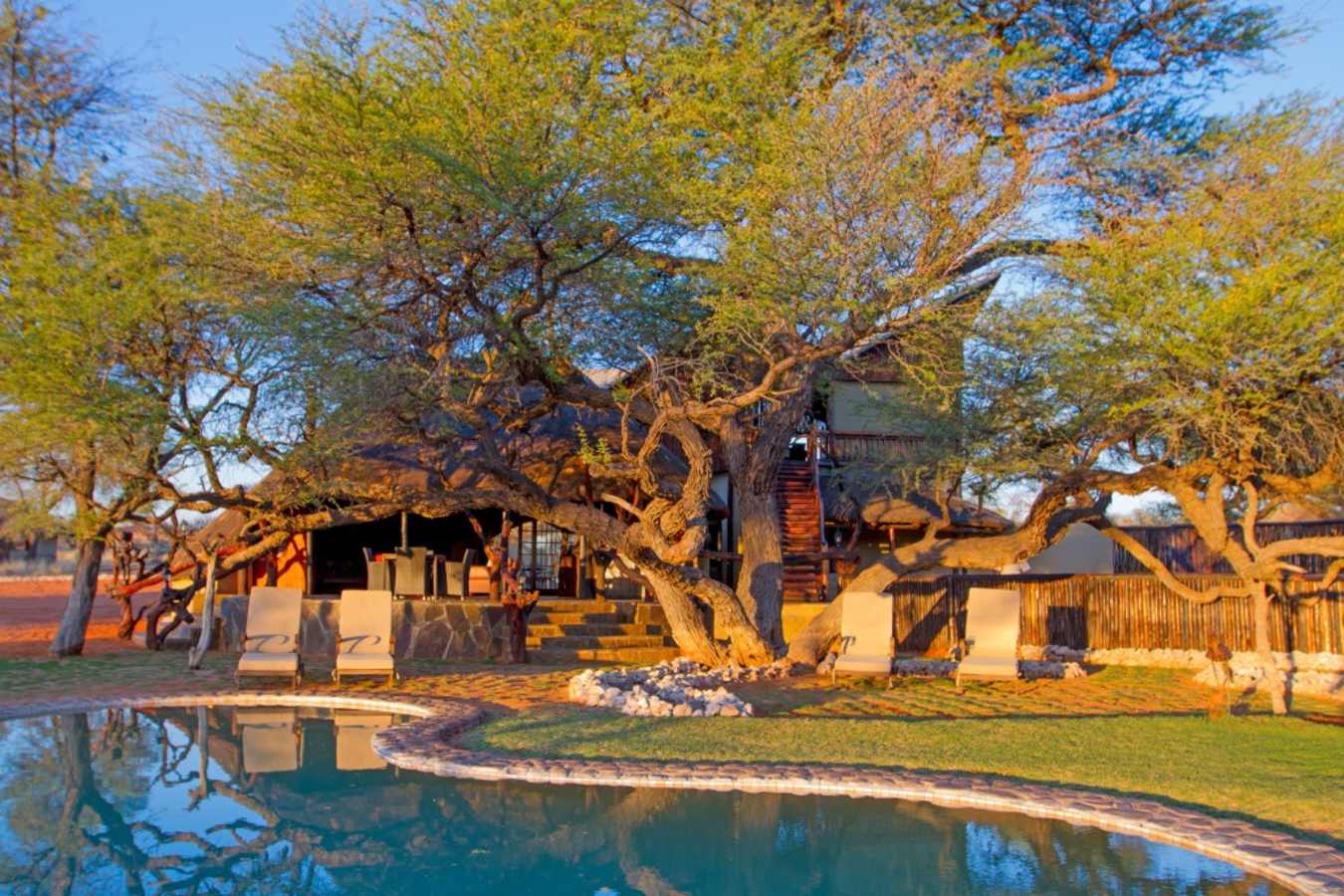 Camelthorn Kalahari Lodge - Main area