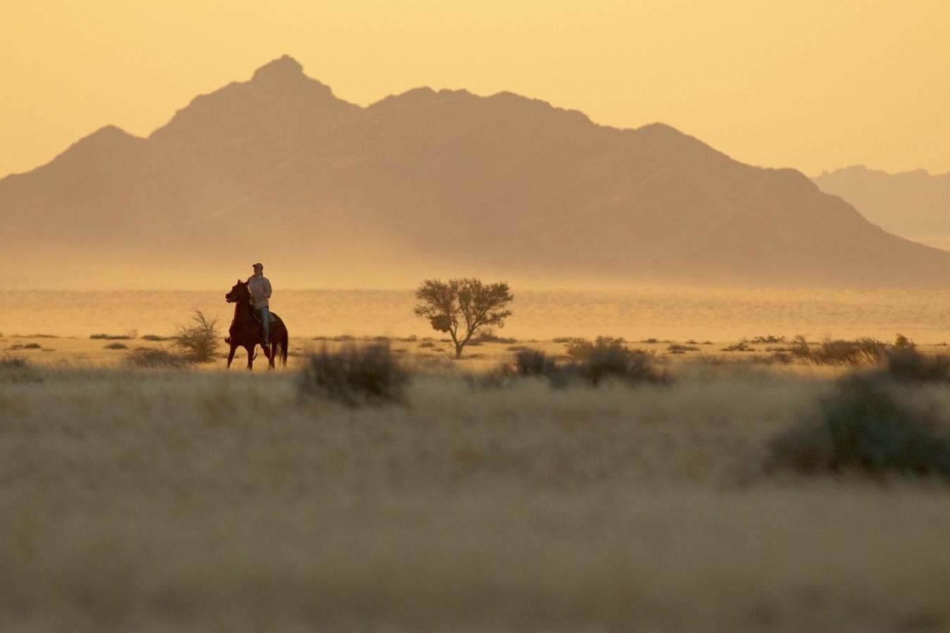 Riding at the lodge - Desert Homestead