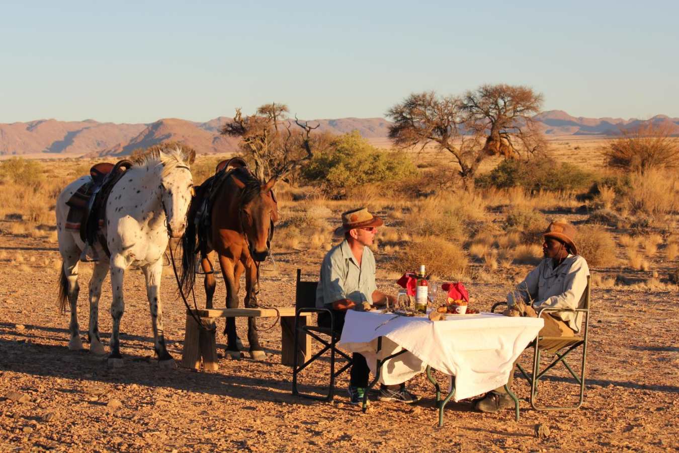 Morning ride - Desert Homestead