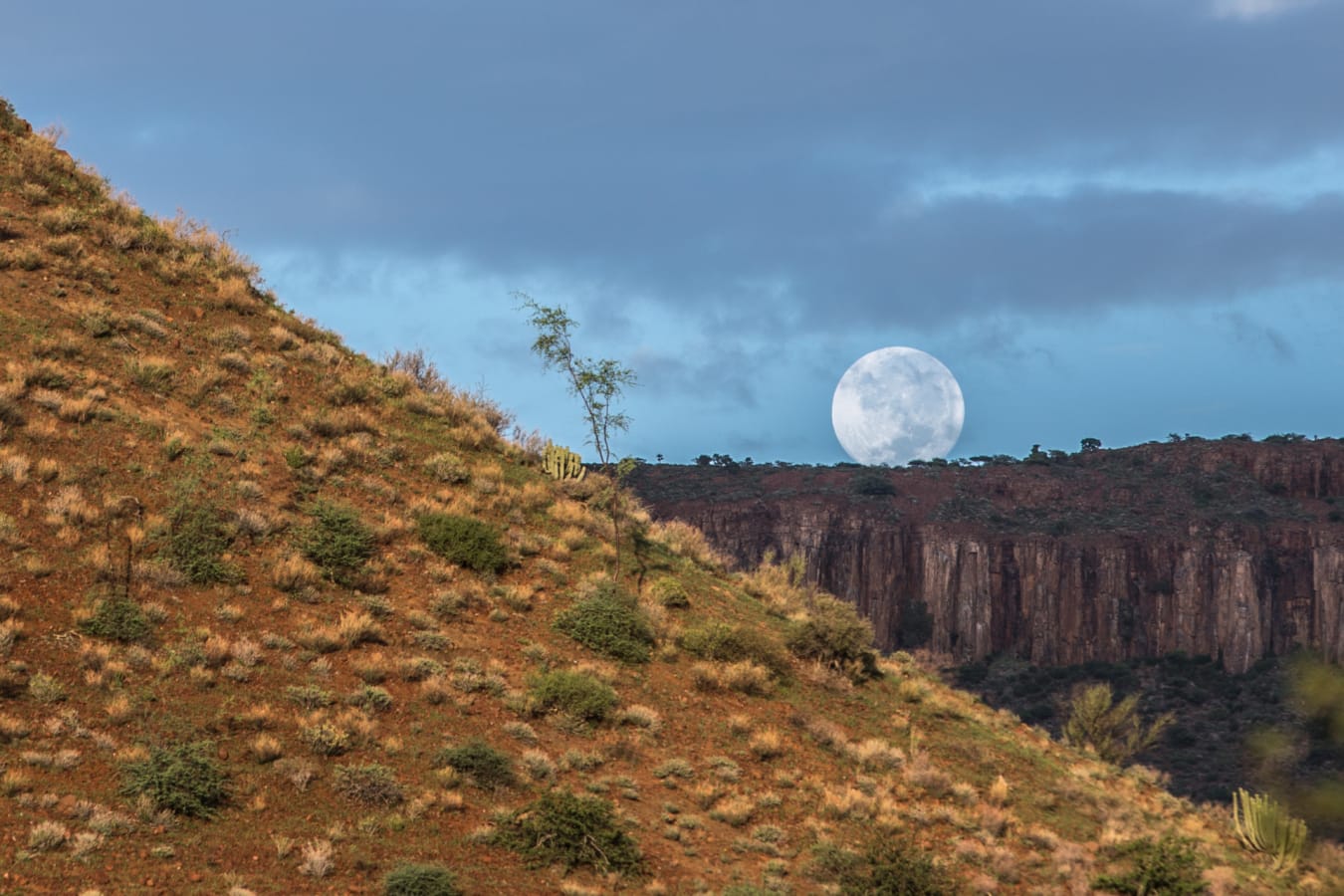 Moon